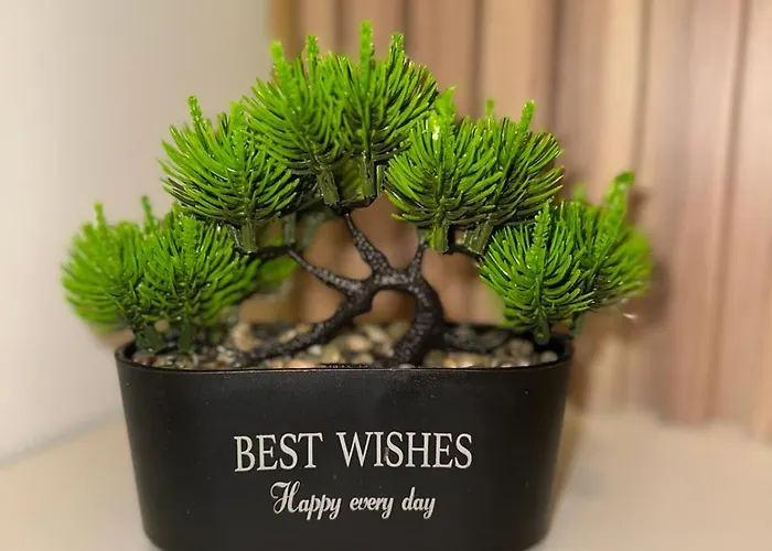 Апартаменты First Line 2